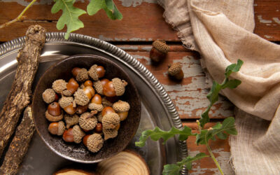 Dalle Nocciole di Caprarola ai Sapori della Tuscia: Un Viaggio Unico nella Cucina del Cimino